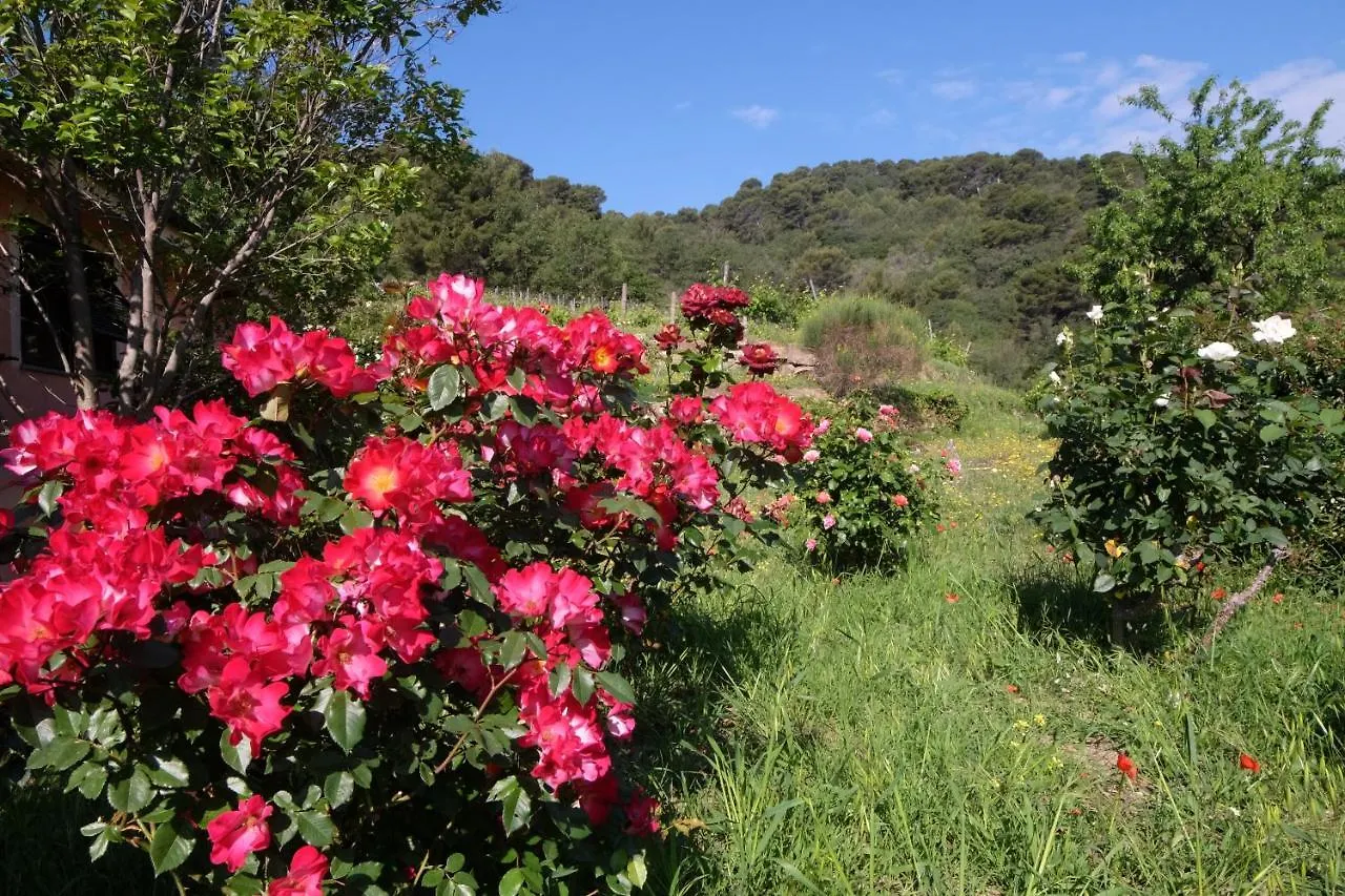 Farm stay Agriturismo Valcrosa Villa Diano Castello Italy